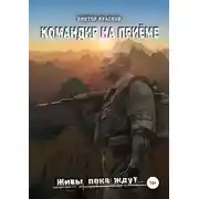Постер книги Командир на приёме