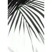 Постер книги av- chernovik