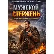 Постер книги Мужской стержень, когда характер важнее комфорта!