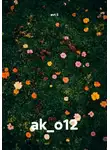 avt li - ak_o12
