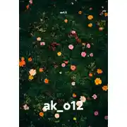 Постер книги ak_o12