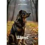 Постер книги Шанс