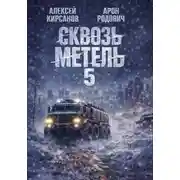 Постер книги Сквозь Метель 5