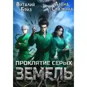 Постер книги Проклятие Серых земель