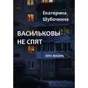 Постер книги Васильковы не спят