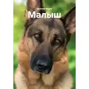 Постер книги Малыш
