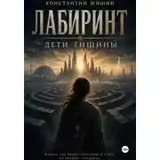 Постер книги Лабиринт. Дети тишины