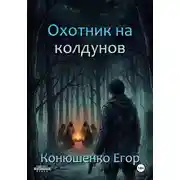 Постер книги Охотник на колдунов