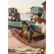 Постер книги Черепаший сезон