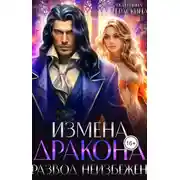 Постер книги Измена дракона. Развод неизбежен