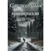 Постер книги Служебный контракт