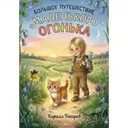 Постер книги Большое путешествие маленького Огонька