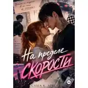 Постер книги На приделе скорости