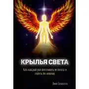 Постер книги Крылья света