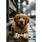 Постер книги Граф