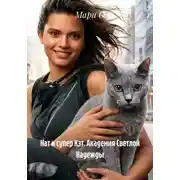Постер книги Нат и супер Кэт. Академия Светлой Надежды