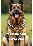 Турист Мартовский - Немецкая овчарка