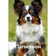 Постер книги Папильон
