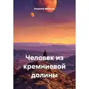 Постер книги Человек из кремниевой долины