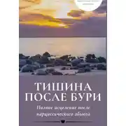 Постер книги Тишина после бури: Полное исцеление после нарциссического абьюза