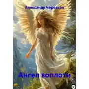 Постер книги Ангел воплоти