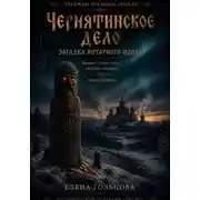 Постер книги Чернятинское дело. Загадка янтарного идола