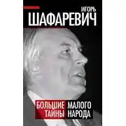 Постер книги Большая тайна Малого народа
