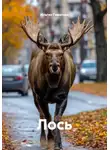 Ильгиз Гиматов - Лось