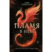 Постер книги Пламя в небе