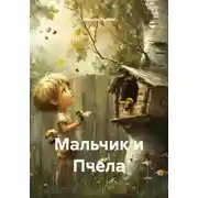 Постер книги Мальчик и Пчела