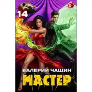 Постер книги Мастер 14