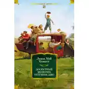Постер книги Лоскутный мешочек тетушки Джо