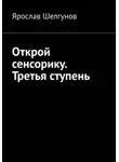 Ярослав Шелгунов - Открой сенсорику. Третья ступень