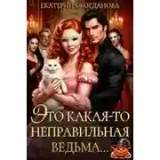 Постер книги Это какая-то неправильная ведьма...