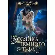 Постер книги Хозяйка тёмного эльфа