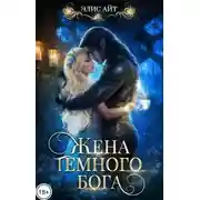 Постер книги Жена тёмного бога