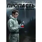 Постер книги Пропасть. 10 лет спустя