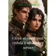 Постер книги «Тени волшебства: судьба в объятиях ночи»