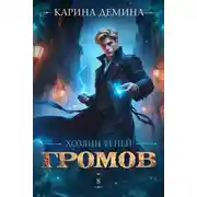 Постер книги Громов. Хозяин теней 8