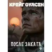 Постер книги После заката