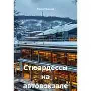 Постер книги Стюардессы на автовокзале