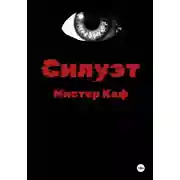 Постер книги Силуэт