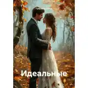 Постер книги Идеальные