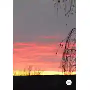 Постер книги Сны за полночь