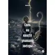 Постер книги Соль на хвосте упавшей звезды