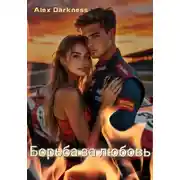Постер книги Борьба за любовь