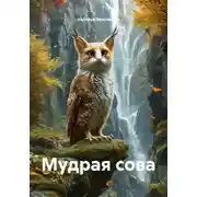 Постер книги Мудрая сова