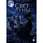 Постер книги Свет луны