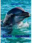 Резеда Зарипова - Воля - неволя
