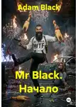 Adam Black - Mr Black. Начало